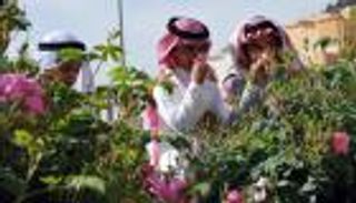 بالصور.. انطلاق مهرجان الورد الطائفي في السعودية الثلاثاء المقبل