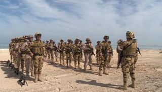 مناورات "زايد 2" بين الإمارات ومصر