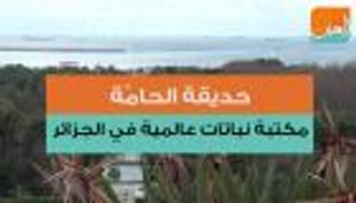 حديقة الحامَّة   مكتبة نباتات عالمية في الجزائر