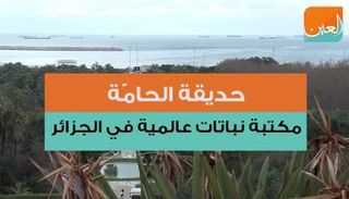 حديقة الحامَّة.. مكتبة نباتات عالمية في الجزائر