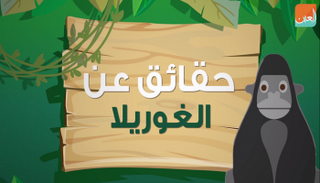 الغوريلا تمتلك نحو 95% من الحمض النووي البشري