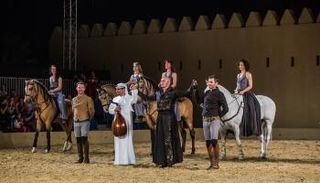 خيول وفرسان "أكاديمية فرساي الوطنية لفنون الفروسية" الفرنسية