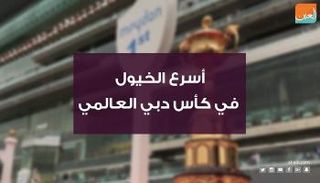 أسرع الخيول في كأس دبي العالمي