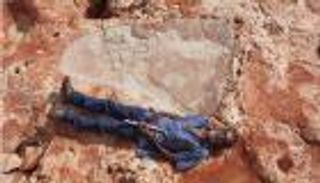 بالصور.. أكبر آثار قدم ديناصور في العالم