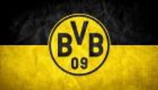 دورتموند يرفض بيع أسهمه لملاك ولفرهامبتون