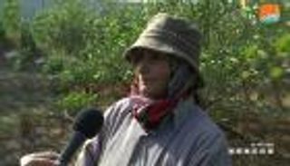 في يوم الأرض.. مزارعة فلسطينية تعبّر عن العلاقة مع الأرض