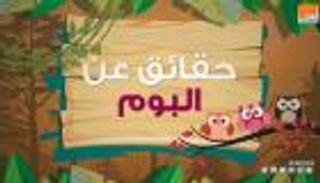 حقائق ستفاجئك عن البومة