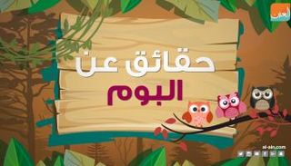 البوم مصاب ببعد النظر