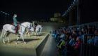 بارتاباس يختتم عرضه الأسطوري ضمن البرنامج الثقافي الإماراتي - الفرنسي