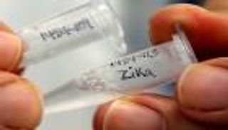 بدء اختبار فاعلية لقاح أمريكي مضاد لـ"زيكا"