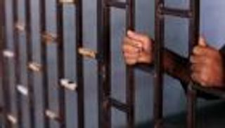 مصر.. السجن المؤبد لقاضي الحشيش 