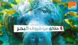 4 حقائق عن خروف البحر