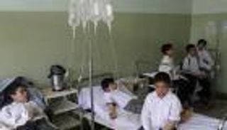 الصحة المصرية: وجبات التغذية المدرسية مطابقة للمواصفات