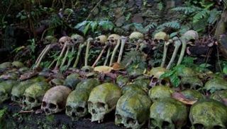 يتم وضع الجماجم تحت شجرة مقدسة تنبعث منها روائح طيبة