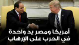 إنفوجراف.. ترامب للسيسي: مصر وأمريكا ستحاربان الإرهاب معا