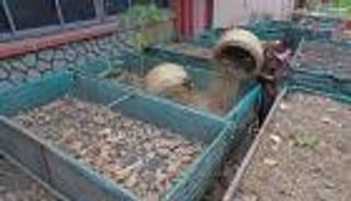 معهد مومباي يعيد تدوير النفايات