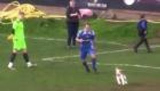 شاهد: 6 دقائق كوميدية في إقتحام "كلب" لمباراة إنجليزية