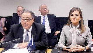 وزيرة الاستثمار المصرية خلال اللقاء 