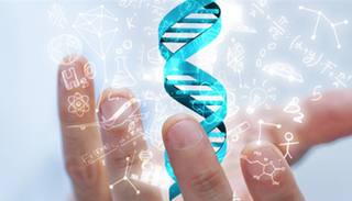 صورة تعبيرية لفك الشيفرات الوراثية