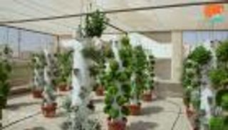 تجربة مصرية.. "المياه الرمادية" تنتج غذاء