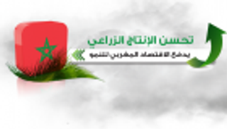 إنفوجراف..تحسن الإنتاج الزراعي يدفع الاقتصاد المغربي للنمو