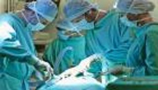 أصغر متبرع بالأعضاء رضيع صيني عمره 33 ساعة