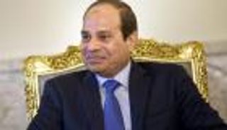 السيسي يلتقي وفدا من أعضاء الكونجرس بالقاهرة