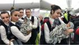 بالصور.. ولادة على متن الطائرة.. والمضيفات تحتفلن