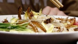 طهي الديدان بالخضروات قبل استخدامها لصنع لفائف الربيع