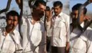 بالفيديو.. رجل يدفع حياته ثمنا للتصوير مع "كوبرا"