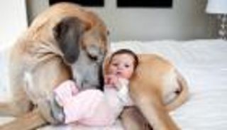 تربية الحيوانات الأليفة تحمي الأطفال من الحساسية والبدانة