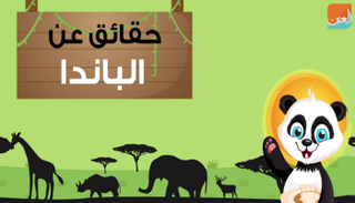 الباندا رمز السلام في الصين