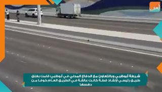 شرطة أبوظبي أنقذت قطة عالقة بطريق سريع