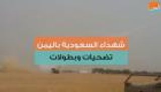 شهداء السعودية باليمن.. تضحيات وبطولات