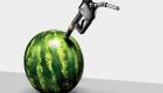 7 أطعمة تبقيك نشيطا لساعات.. على رأسها البطيخ