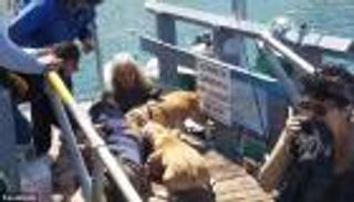 فيديو.. رجل يخاطر بحياته لإنقاذ كلبه