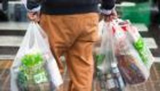 دودة الشمع حل سحري للقضاء على التلوث