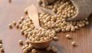 بروتين الصويا يخفف حدة التهابات الأمعاء