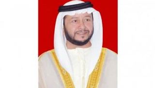 الشيخ سلطان بن زايد آل نهيان 