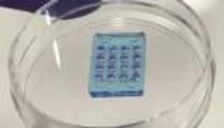 علماء يجددون الأمل لفاقدي البصر بأول شبكية عين صناعية