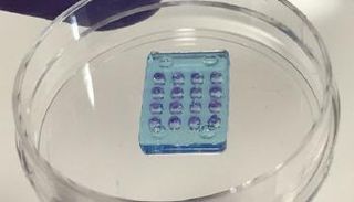 أول شبكية عين صناعية