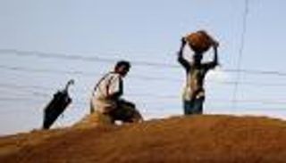 فيضانات بنجلادش تقضي على 700 ألف طن من محصول الأرز