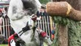 بالصور.. فارس ينجو من الموت بعد انهيار حصانه 