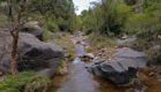 بالصور.. الأمطار ترسم مناظر خلابة في عسير بالسعودية