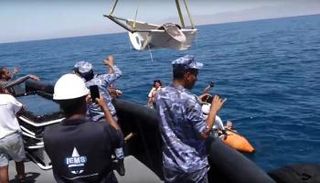 محاولة إنقاذ سمكة الشمس