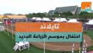 احتفالات تايلاند بموسم الزراعة الجديد