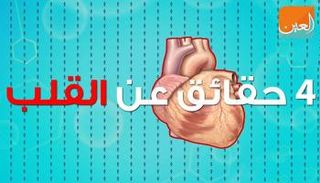 4 حقائق عن القلب