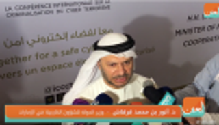 بالفيديو.. قرقاش: الإرهاب الإلكتروني يهدد جميع دول العالم