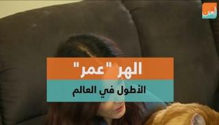 الهر "عمر" أصبح الأكثر طولا بـ120 سنتيمترا