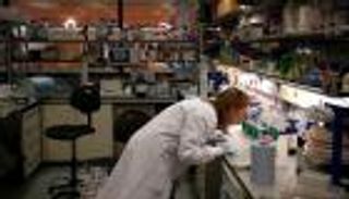 أنواع نادرة من السرطان تصيب خمس المرضى بالولايات المتحدة